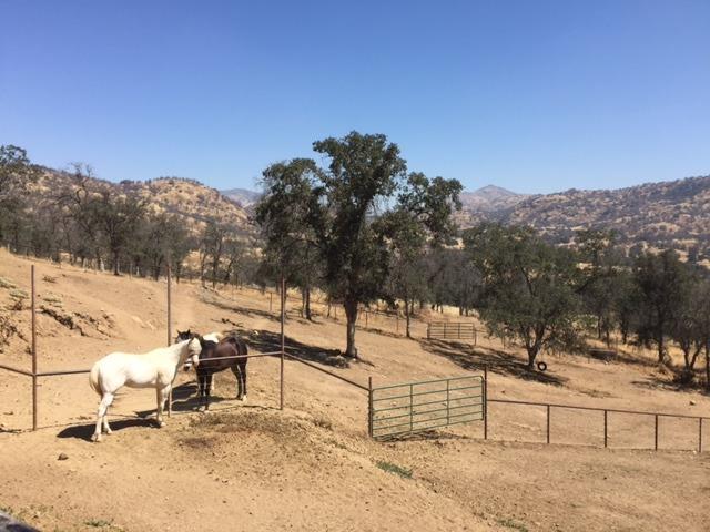 34684 George Smith Road Squaw Valley, CA 93675 - Photo 33 of 34 Gallery Image 33