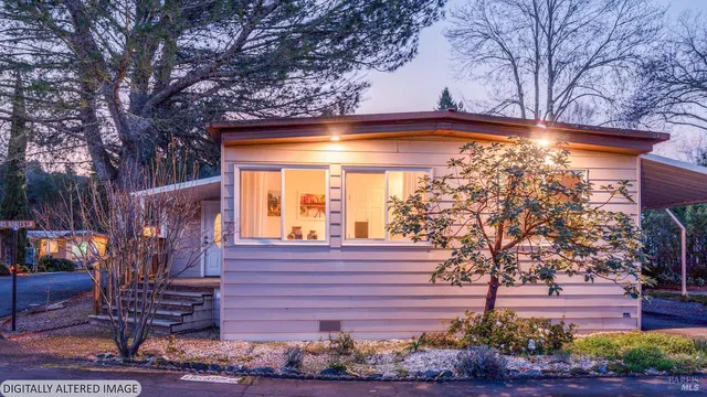 a view of street with large tree