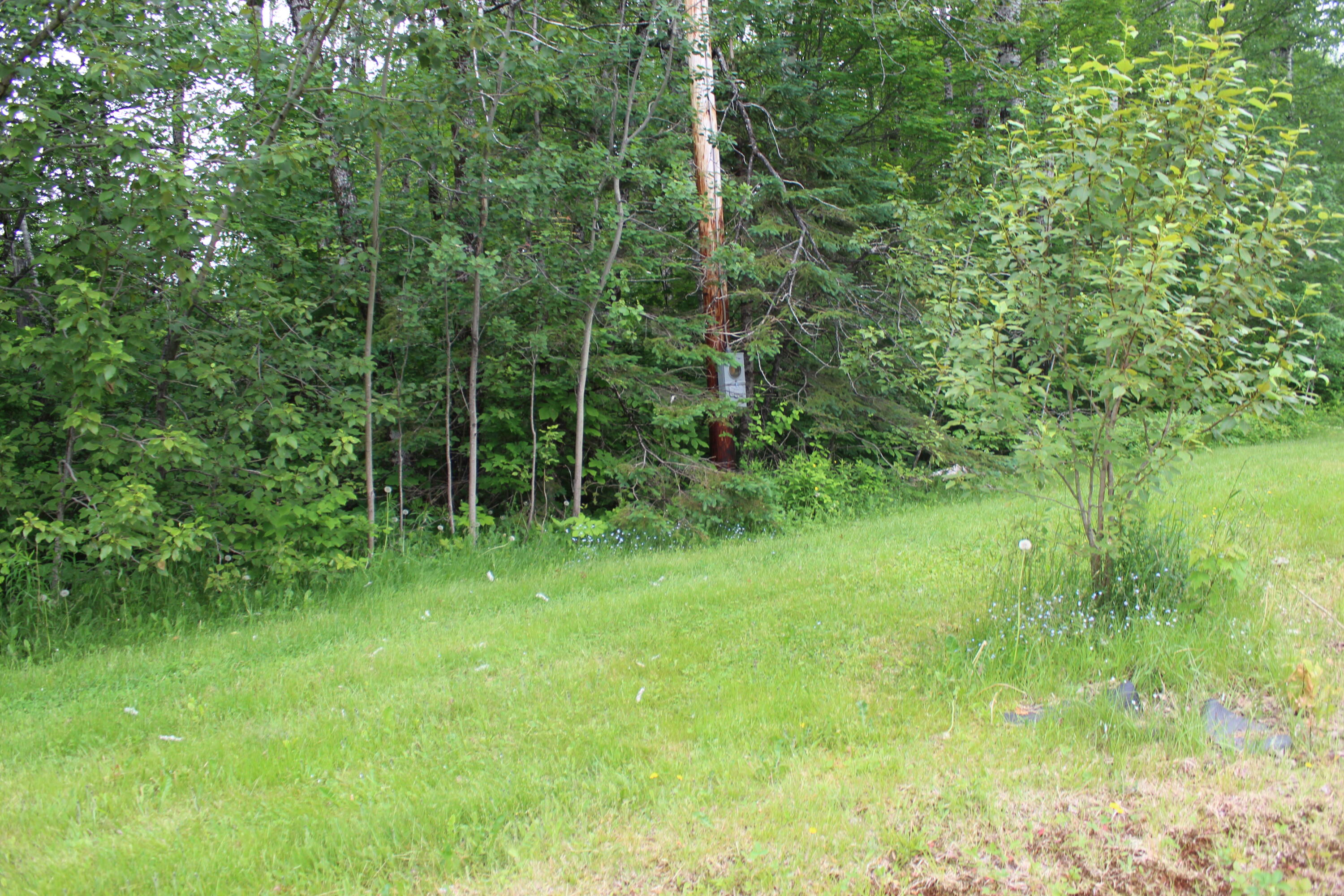 1100 Shin Pond Road Mount Chase, ME 04765 - Photo 21 of 24 IMG_6870