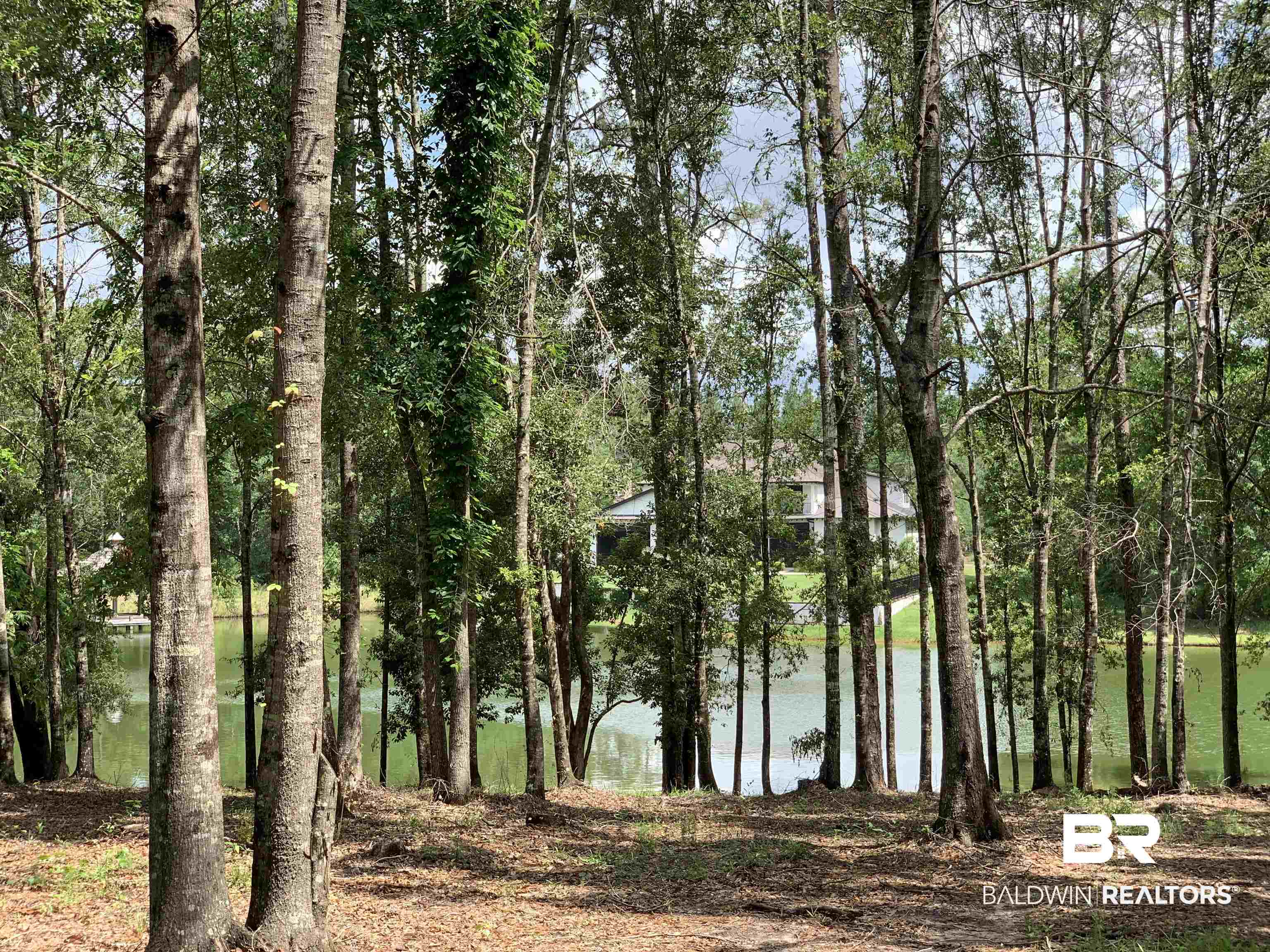 Lot 68 Sand Bar Lane Fairhope, AL 36532 - Photo 2 of 17