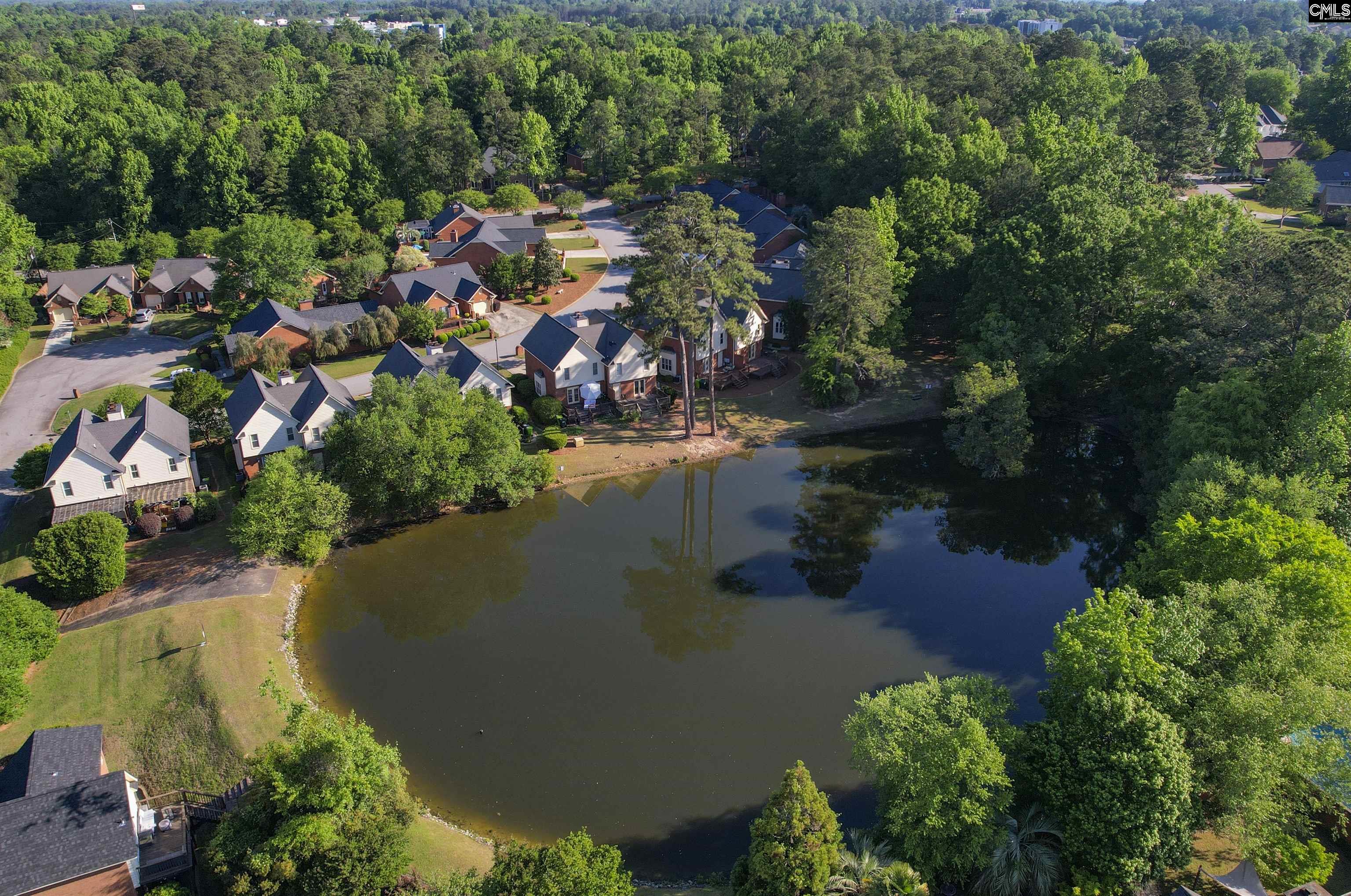 121 Wandering Brook Road Irmo, SC 29063 - Photo 14 of 47