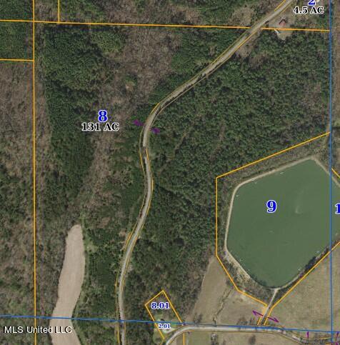 Marianna Road Holly Springs, MS 38635 - Photo 1 of 7 131 acres