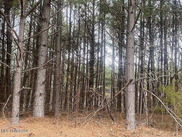 Marianna Road Holly Springs, MS 38635 - Photo 2 of 7 1