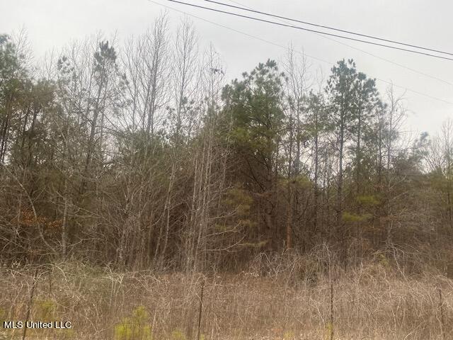 Marianna Road Holly Springs, MS 38635 - Photo 3 of 7 2
