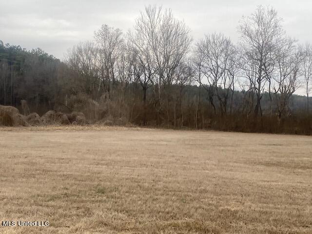 Marianna Road Holly Springs, MS 38635 - Photo 5 of 7 4