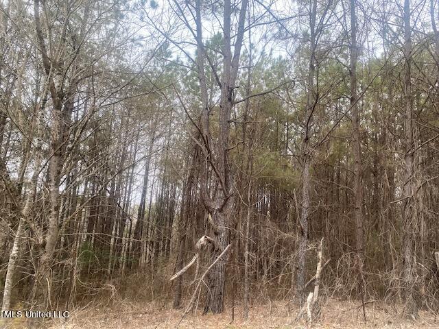 Marianna Road Holly Springs, MS 38635 - Photo 6 of 7 5