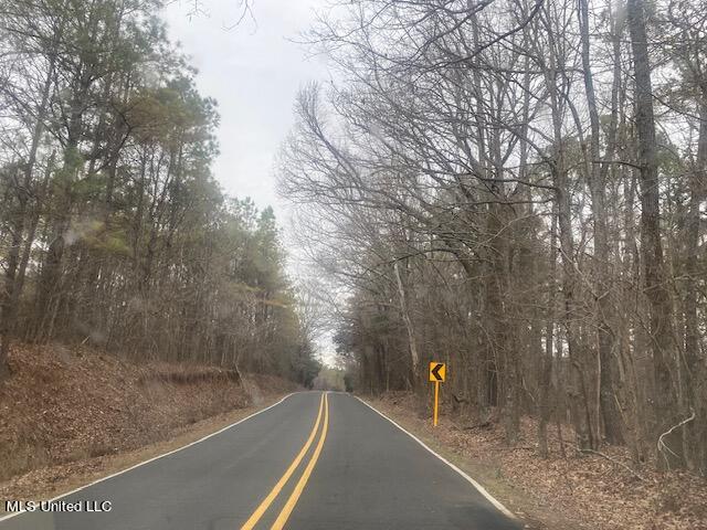 Marianna Road Holly Springs, MS 38635 - Photo 7 of 7 6