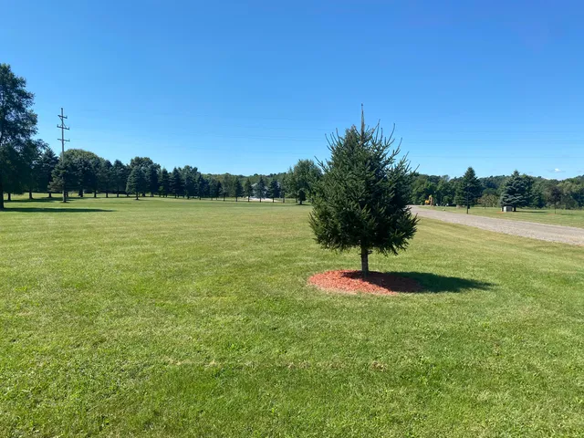 $29,900 | River Bend Drive, Unit 1, Concord, MI 49237