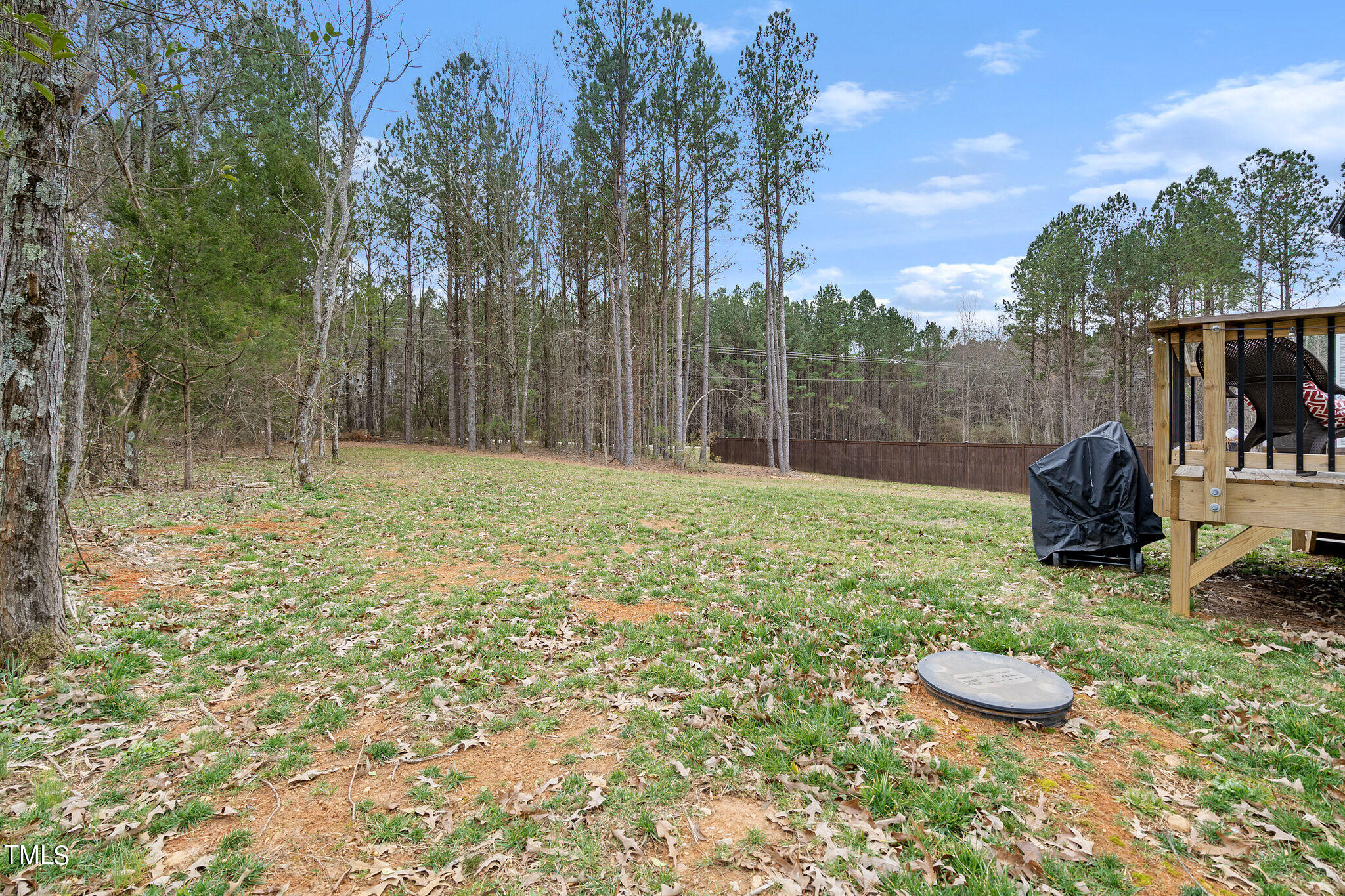 15 Mulberry Road Spring Hope, NC 27882 - Photo 10 of 40 DSC06342