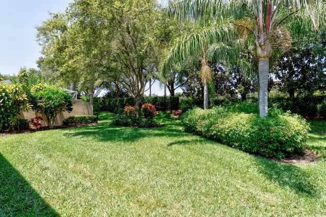 a view of a garden with plants and large trees