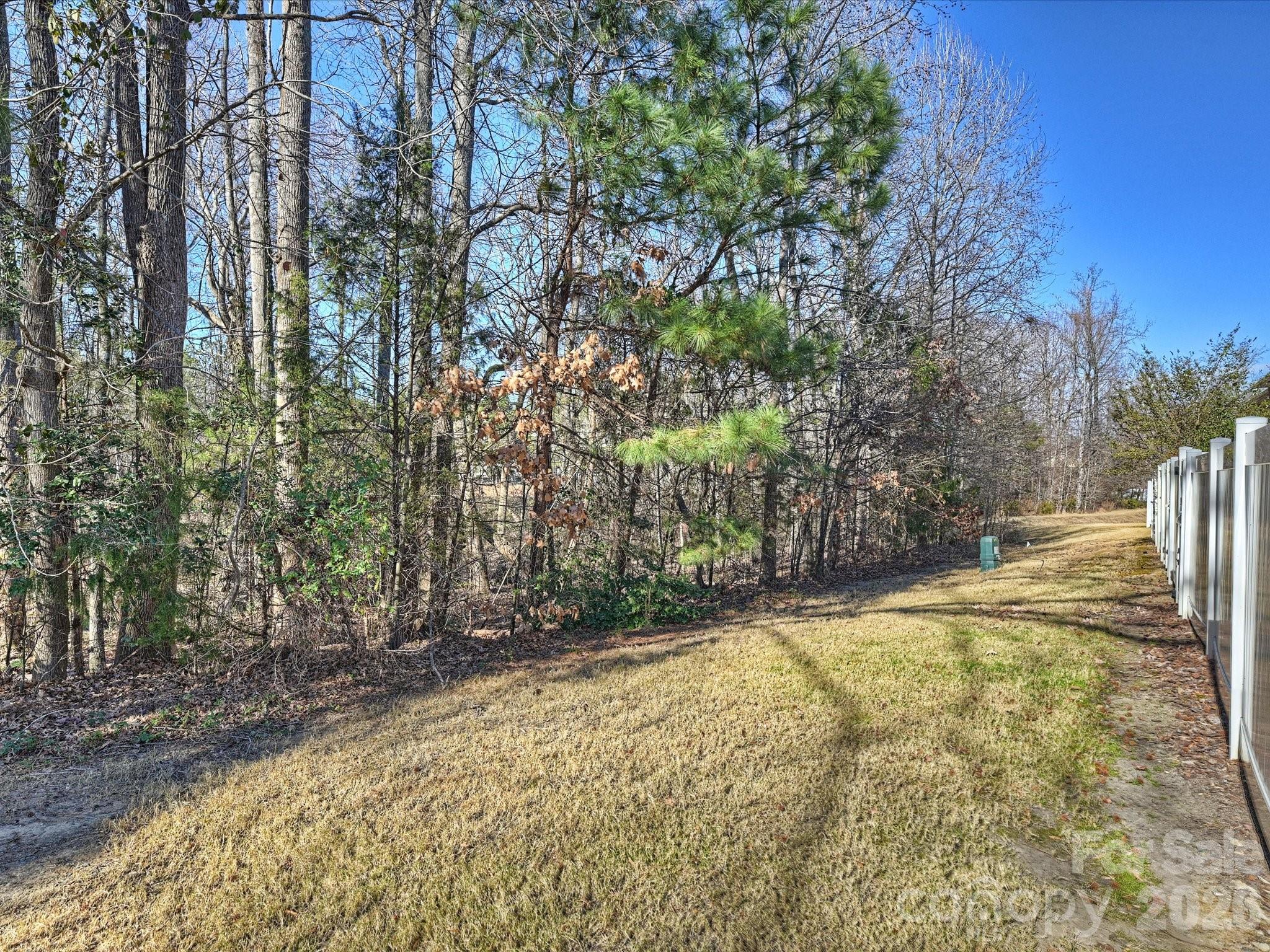 15544 Canmore Street Charlotte, NC 28277 - Photo 36 of 36 a view of back yard of the house