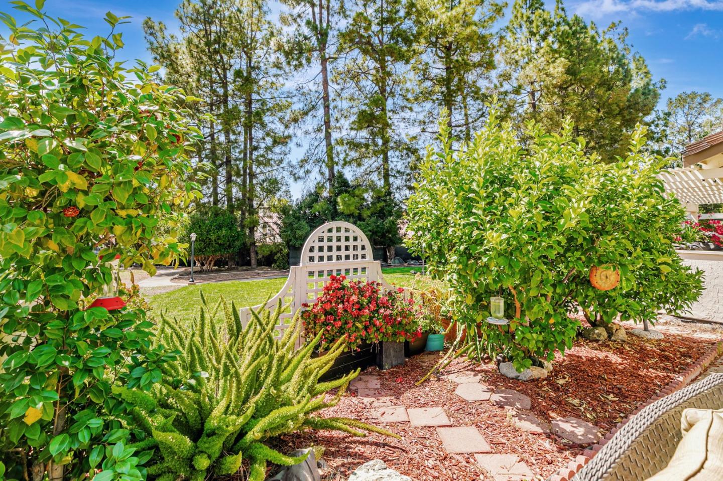 6200 Gerdts Drive San Jose, CA 95135 - Photo 36 of 39 a view of a garden with plants and large trees