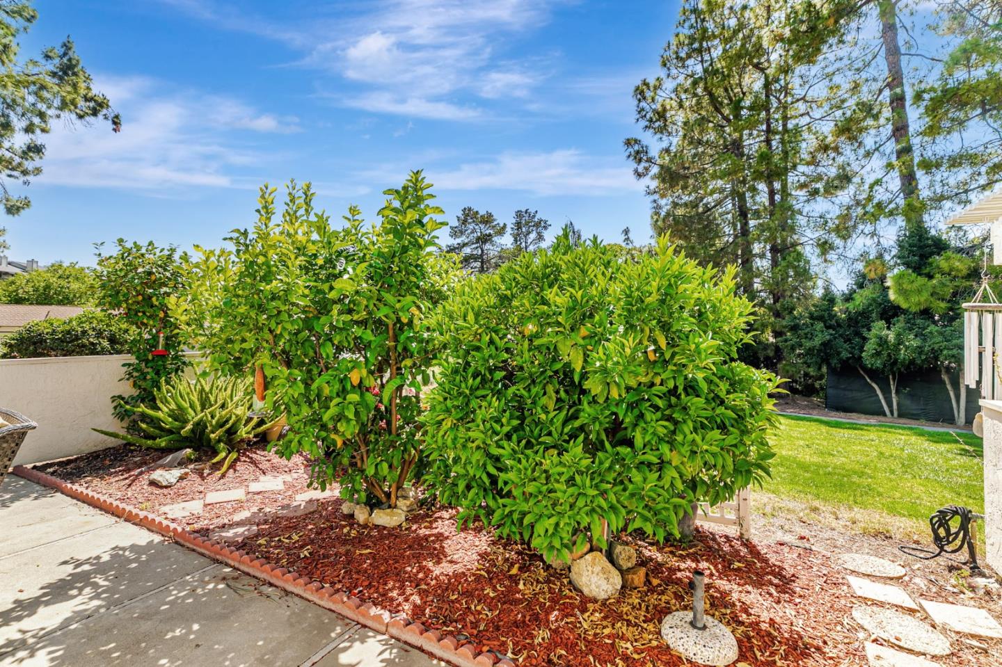 6200 Gerdts Drive San Jose, CA 95135 - Photo 37 of 39 a backyard of a house with lots of green space and garden