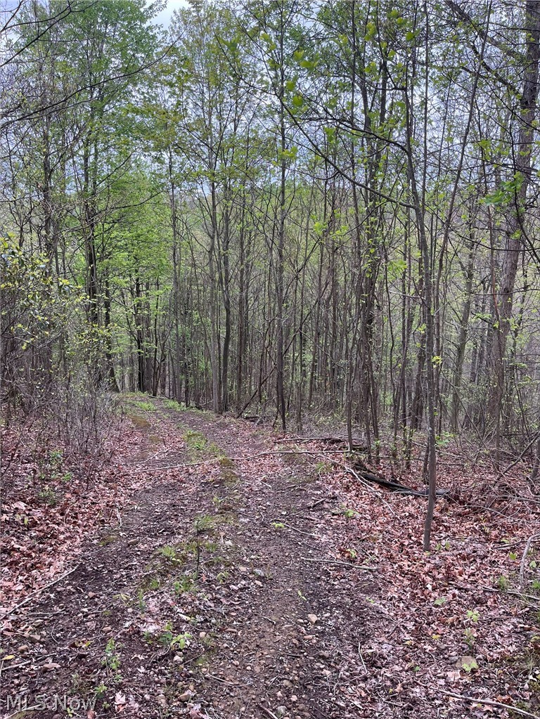 Sandy Ridge Road Tippecanoe, OH 44699 - Photo 9 of 21