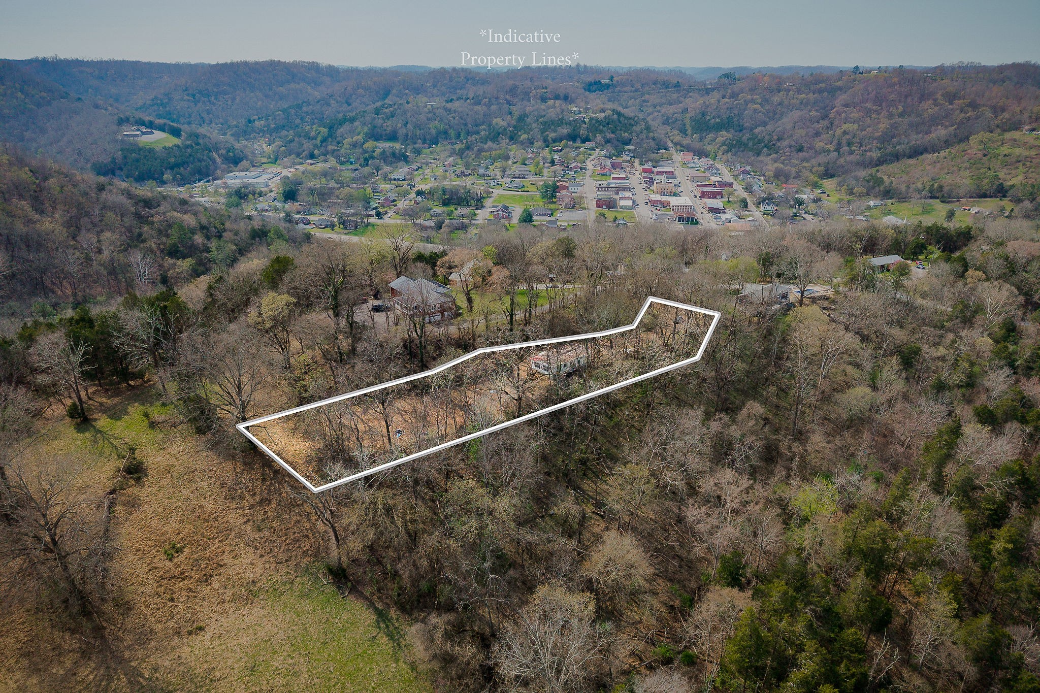 303 East Hill Road Gainesboro, TN 38562 - Photo 11 of 18 a view of a forest