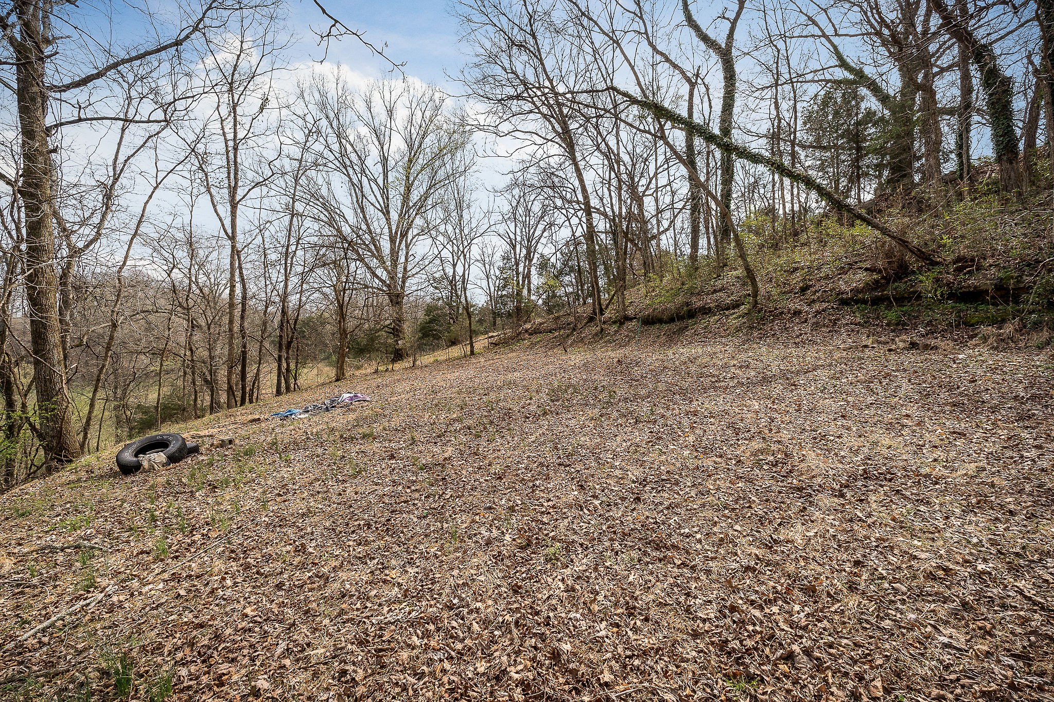 303 East Hill Road Gainesboro, TN 38562 - Photo 17 of 18 a view of dirt yard with a large tree