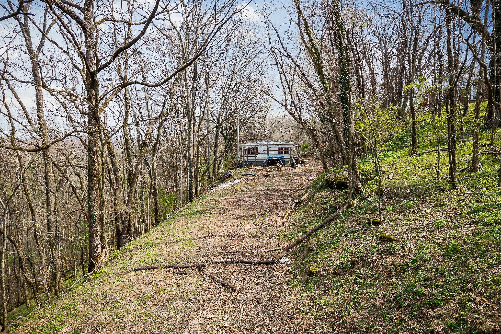 303 East Hill Road Gainesboro, TN 38562 - Photo 2 of 18 a view of a backyard with large trees