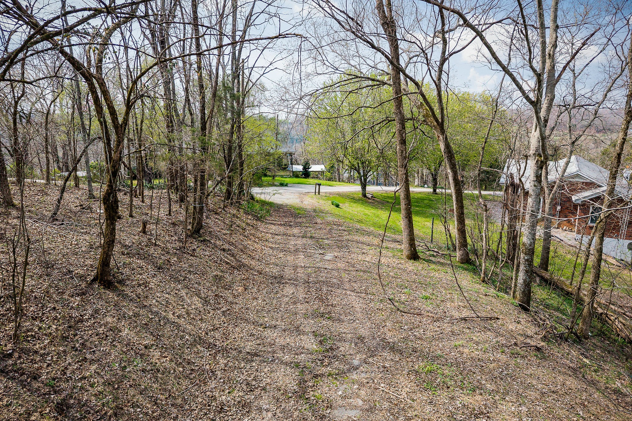 303 East Hill Road Gainesboro, TN 38562 - Photo 3 of 18 a view of a yard with trees