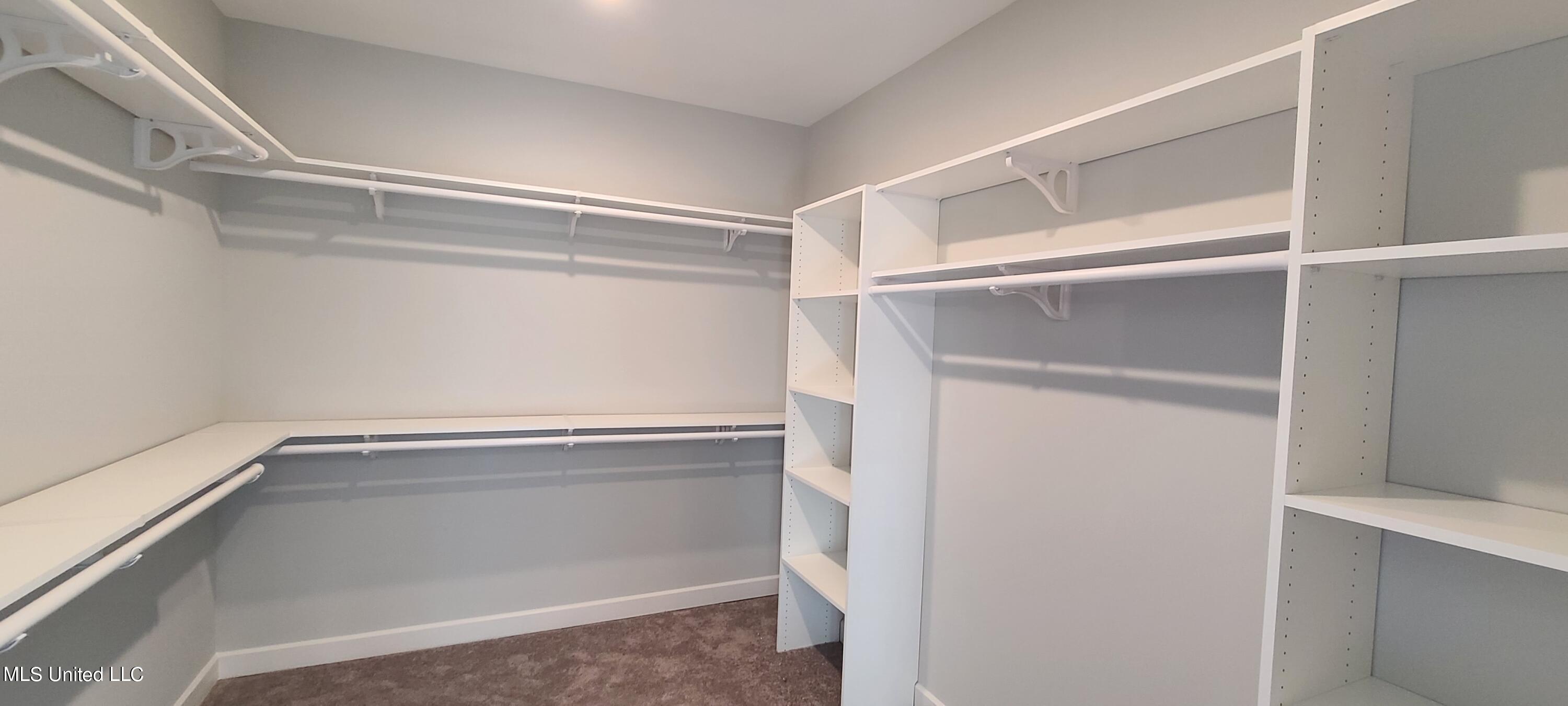 448 Ruskin Loop Hernando, MS 38632 - Photo 21 of 32 Primary Closet