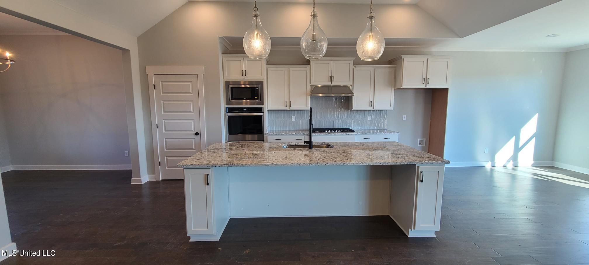 448 Ruskin Loop Hernando, MS 38632 - Photo 6 of 32 Kitchen