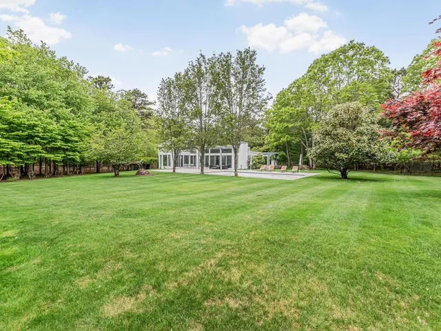a view of a tree in a yard