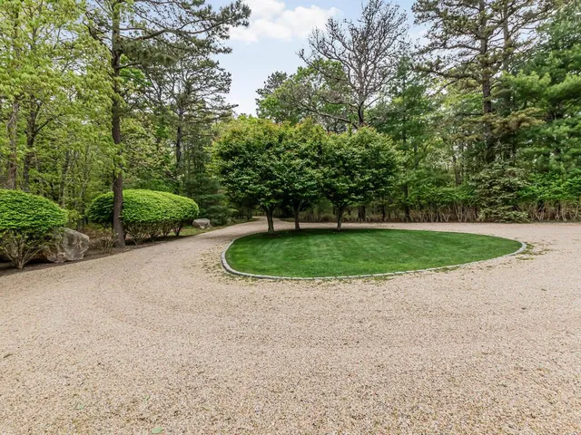 a view of a backyard with large trees
