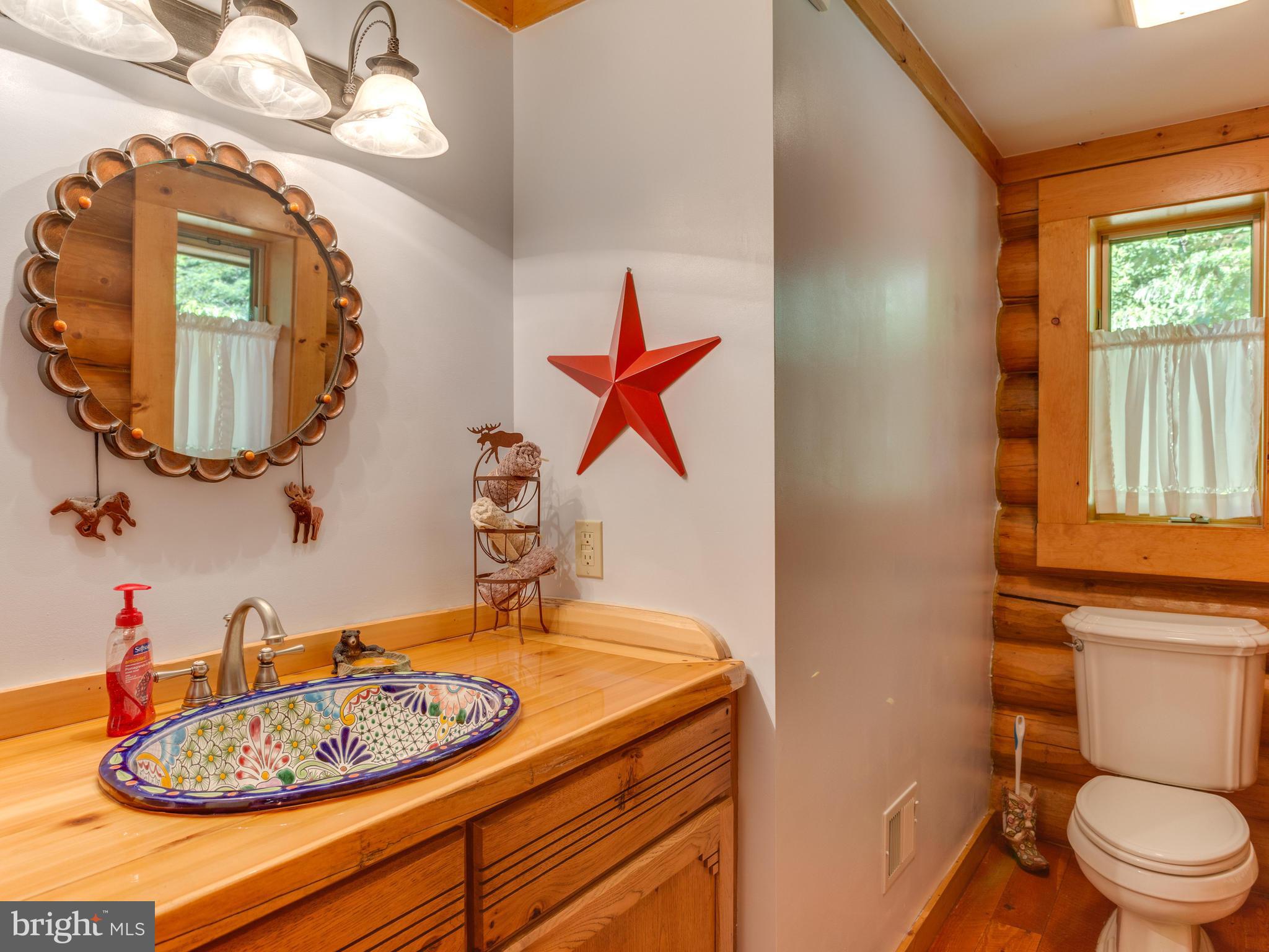 1133 Mosby Springs Road Linden, VA 22642 - Photo 22 of 30 Powder Room