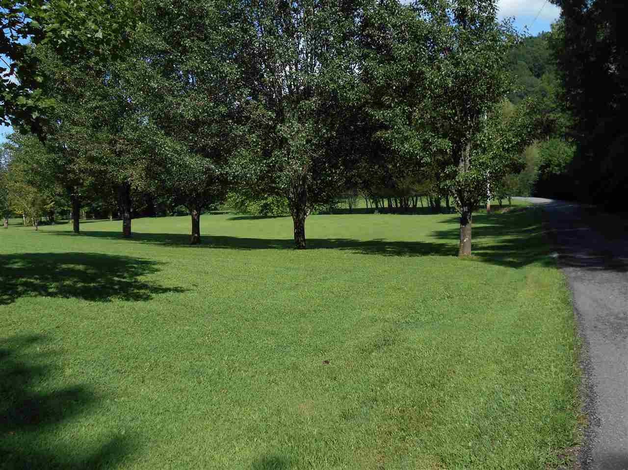18125 North No Pone, Unit PONE Decatur, TN 37322 - Photo 10 of 49 Gallery Image 10
