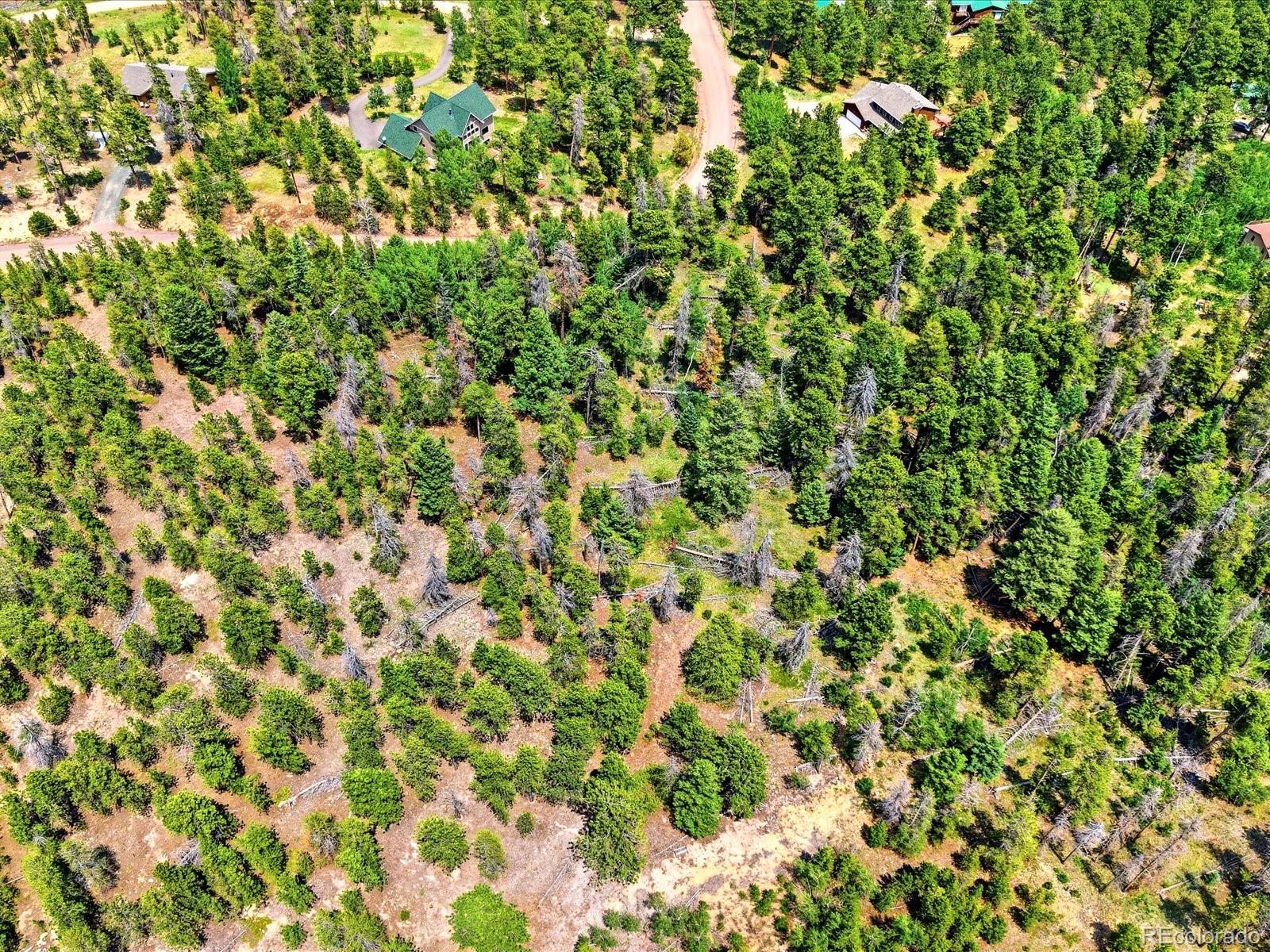 543 Crescent Lake Road Golden, CO 80403 - Photo 8 of 14
