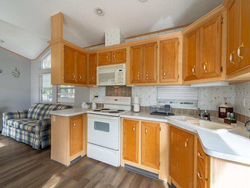 15991 Northeast 243rd Place Road, Unit 31 Fort McCoy, FL 32134 - Photo 13 of 31