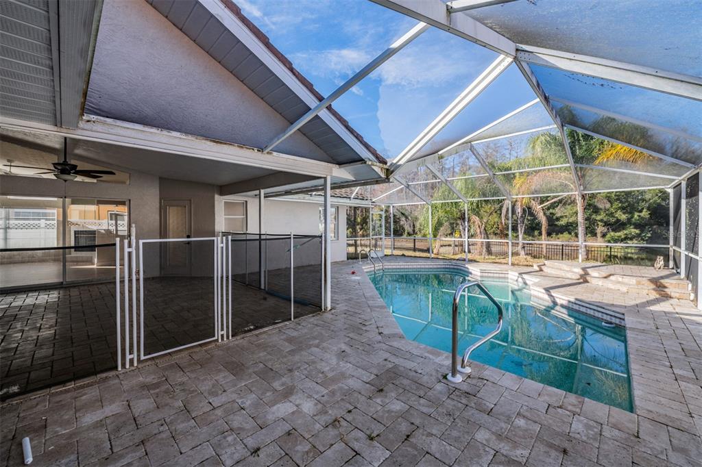 5315 Saltamonte Drive New Port Richey, FL 34655 - Photo 14 of 26 a view of a swimming pool with a patio
