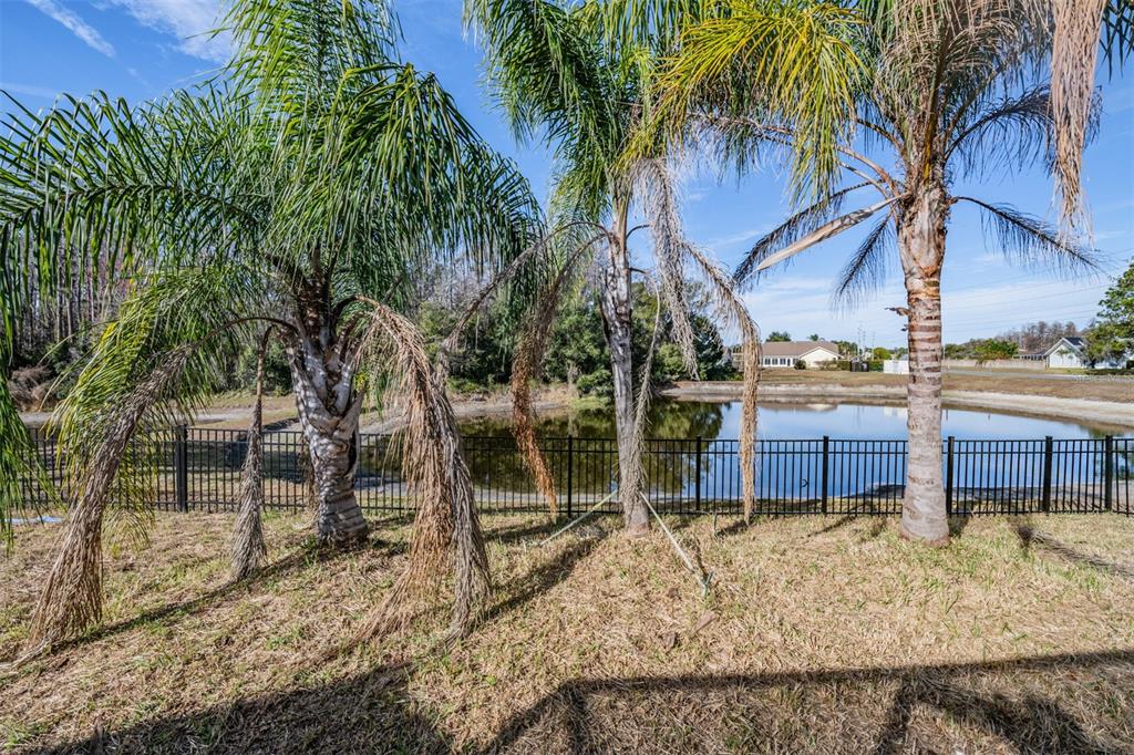 5315 Saltamonte Drive New Port Richey, FL 34655 - Photo 25 of 26 a view of a house with a yard