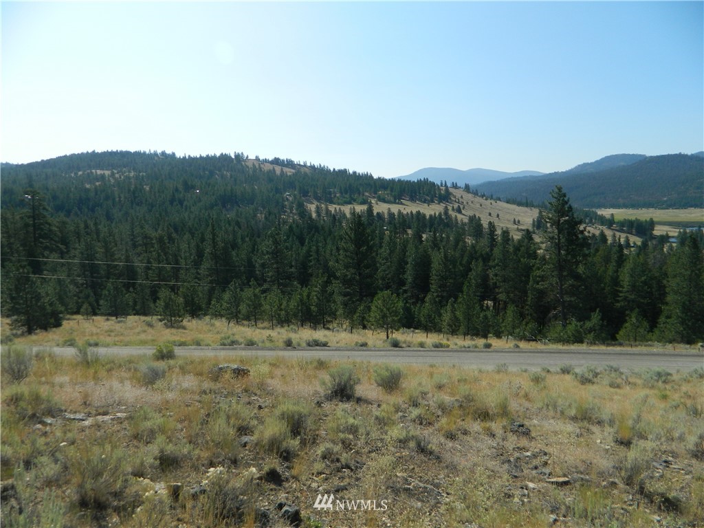 111-tbd Cape Labelle Road Tonasket, WA 98855 - Photo 3 of 11
