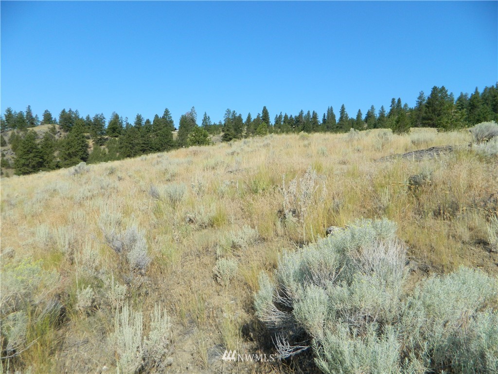 111-tbd Cape Labelle Road Tonasket, WA 98855 - Photo 8 of 11