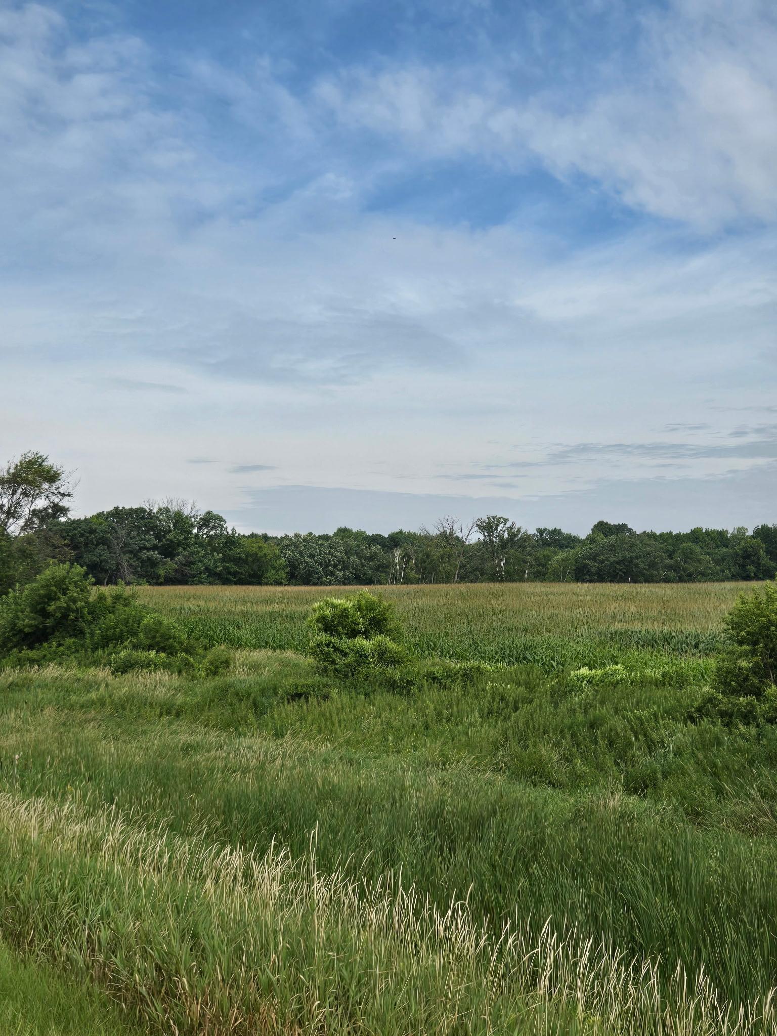 Tbd Lake Boulevard Shafer, MN 55074 - Photo 8 of 11