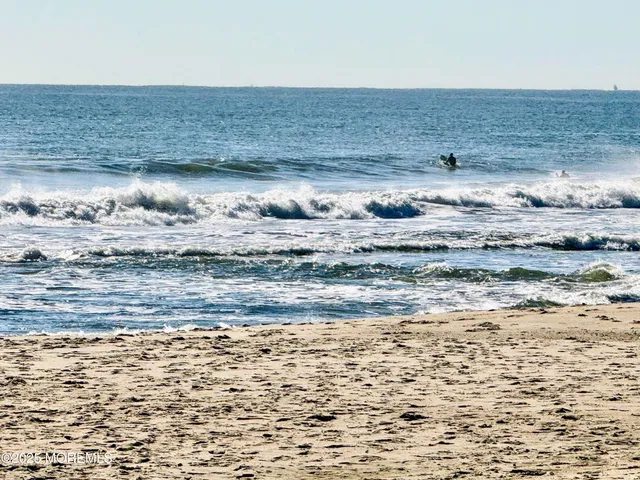 a view of outdoor space with garden and trees