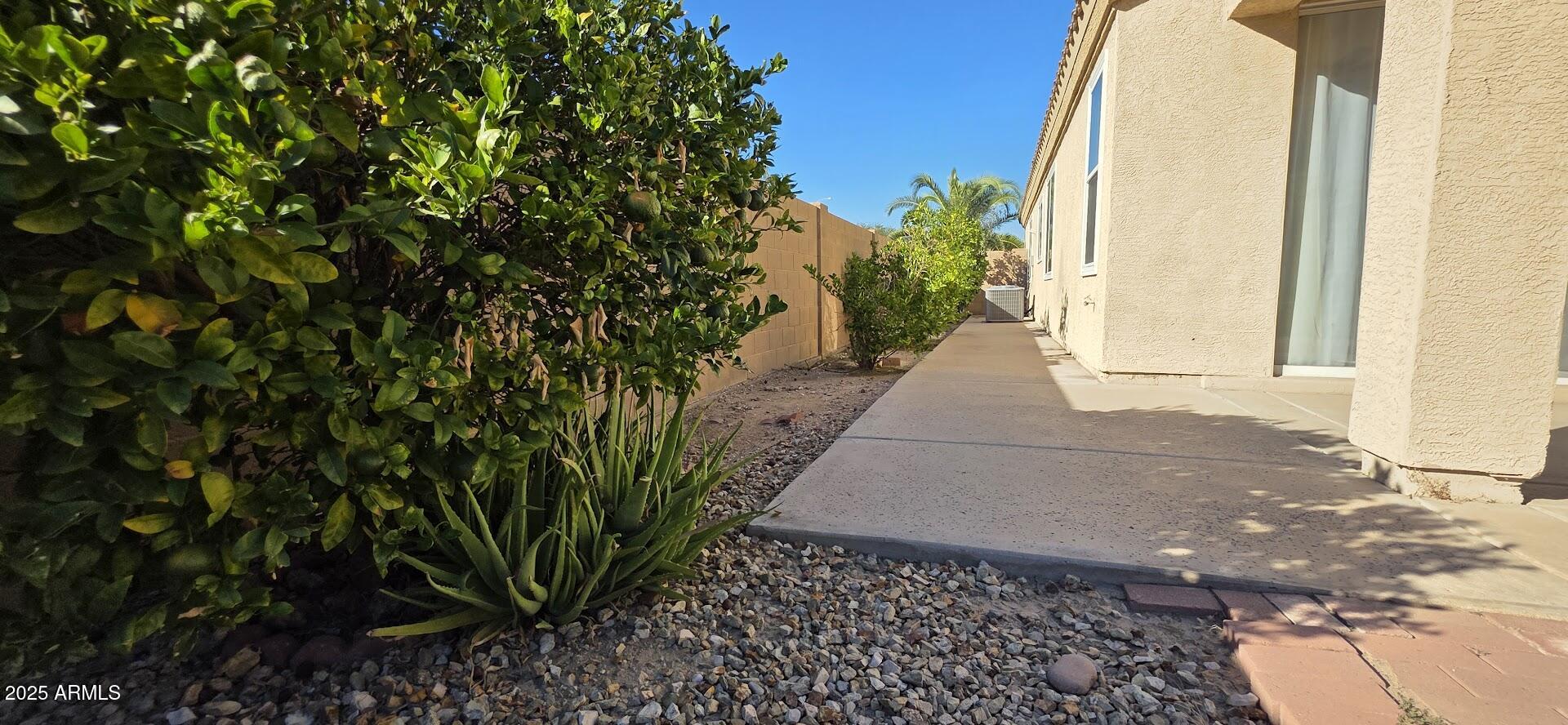 843 West Locust Dr. Chandler, AZ 85248 - Photo 22 of 23 a view of a pathway both side of house