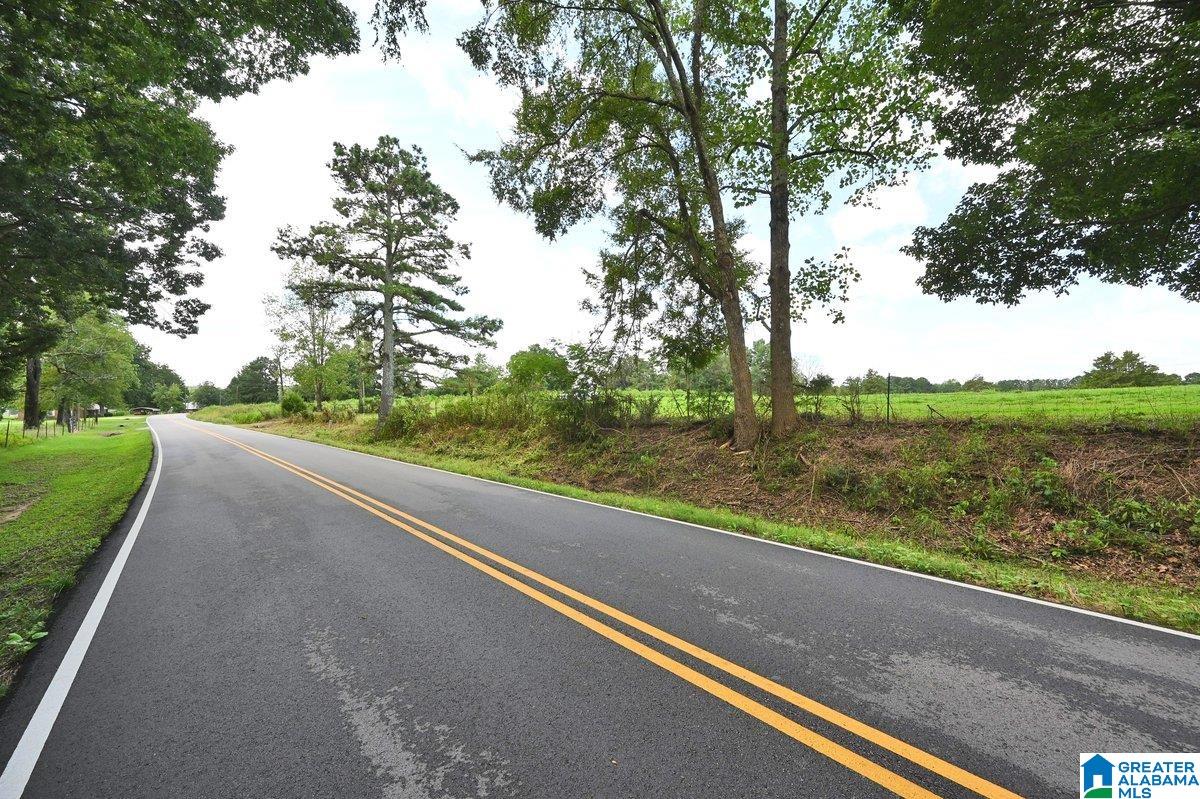 70 Nobinger Road Falkville, AL 35622 - Photo 20 of 23 Gallery Image 20
