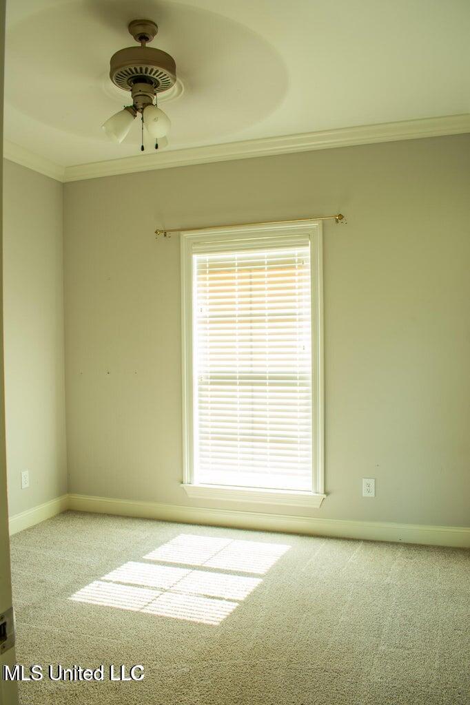 216 Buttonwood Lane Canton, MS 39046 - Photo 18 of 21 20240607200659222514000000-o