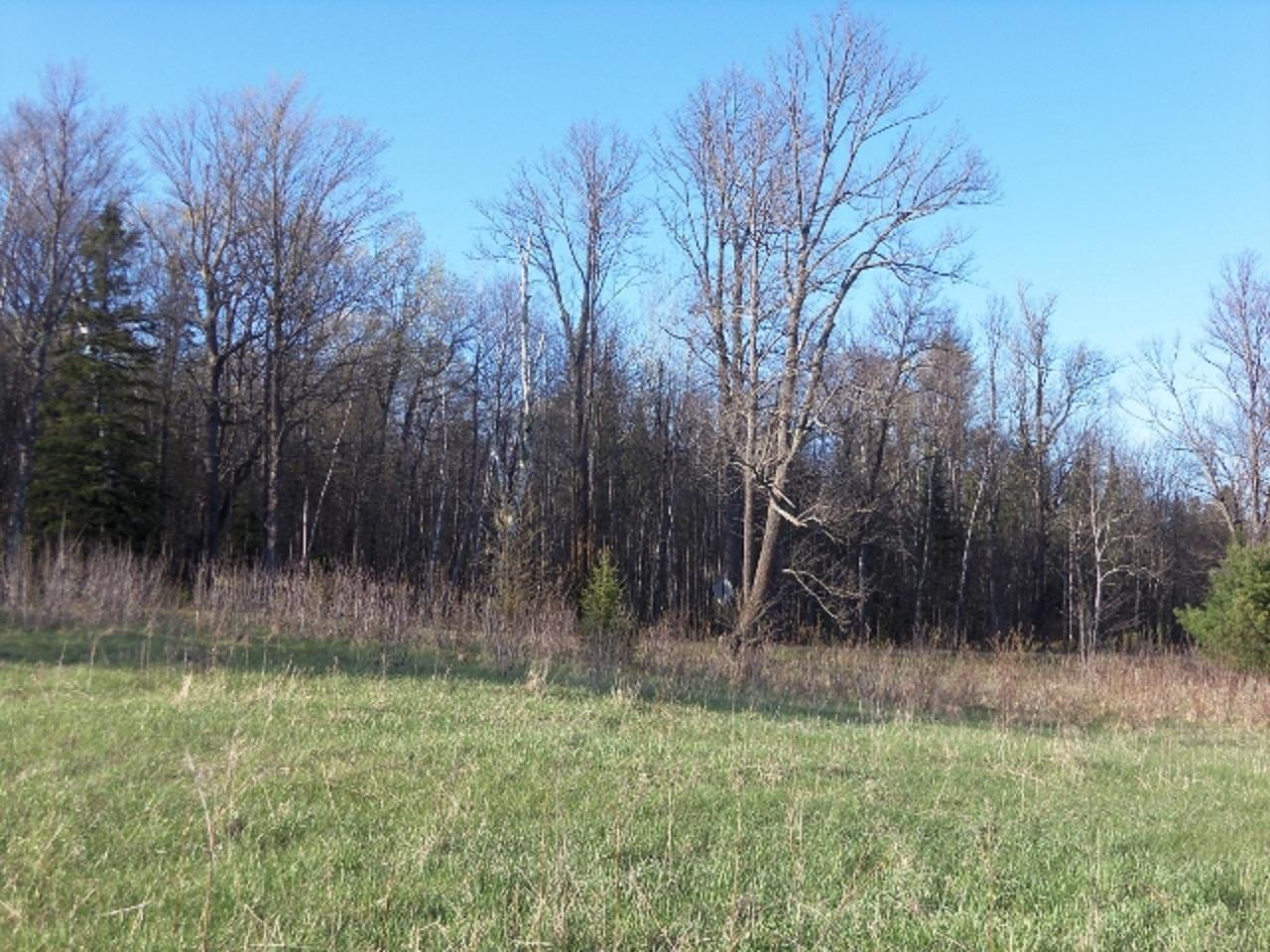 Lot 24 Weber Road Mercer, WI 54547 - Photo 6 of 19 Gallery Image 6