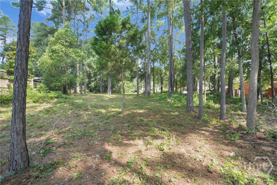 209 Runaway Point Road Savannah, GA 31404 - Photo 11 of 47