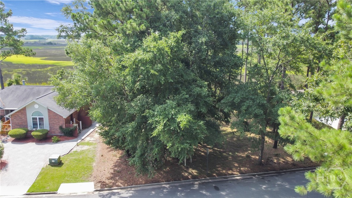 209 Runaway Point Road Savannah, GA 31404 - Photo 17 of 47