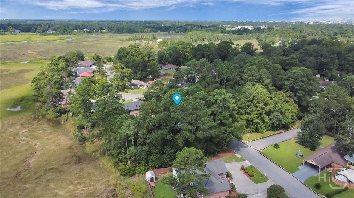 209 Runaway Point Road Savannah, GA 31404 - Photo 32 of 47