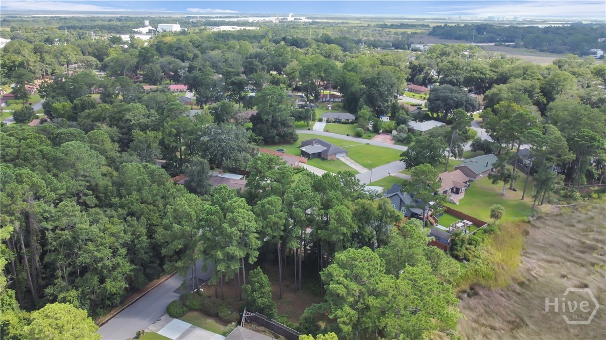 209 Runaway Point Road Savannah, GA 31404 - Photo 34 of 47
