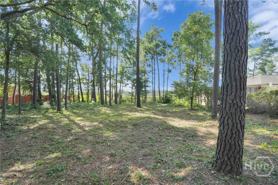 209 Runaway Point Road Savannah, GA 31404 - Photo 45 of 47
