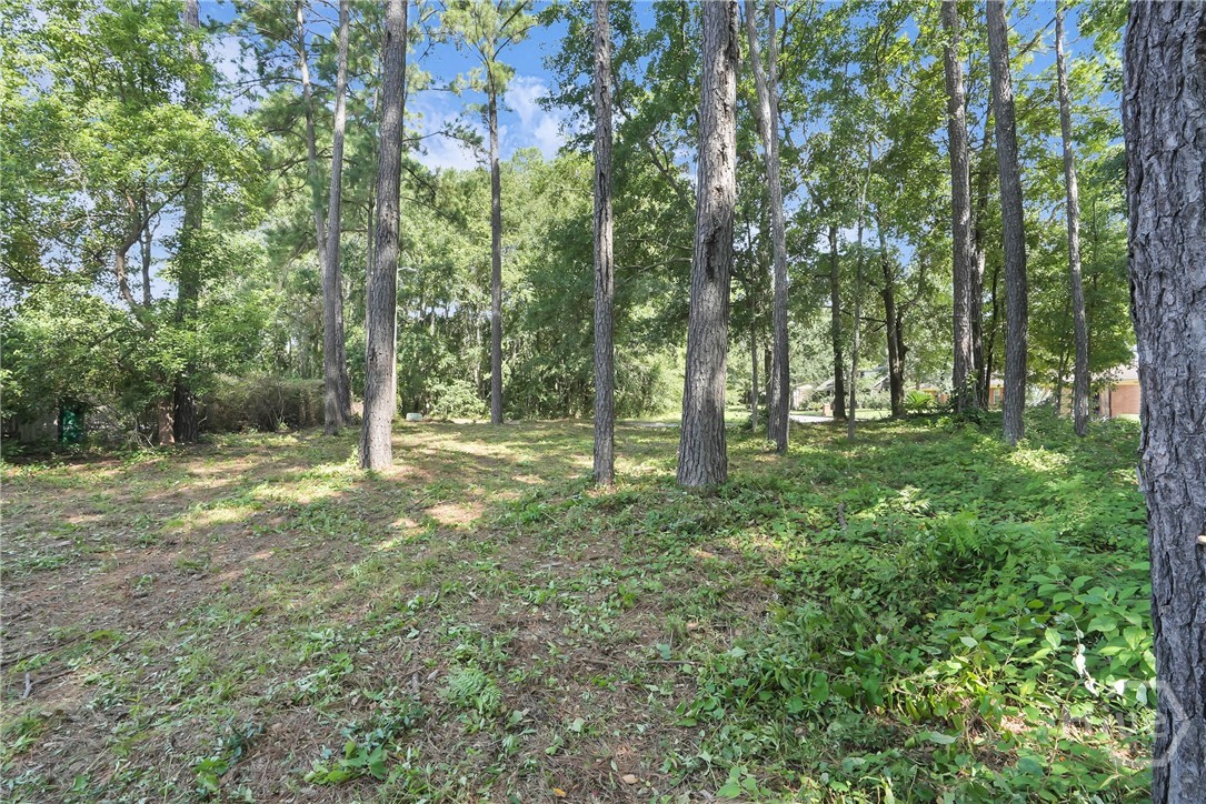 209 Runaway Point Road Savannah, GA 31404 - Photo 46 of 47