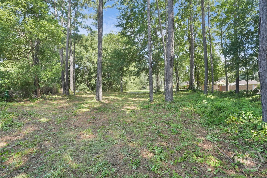209 Runaway Point Road Savannah, GA 31404 - Photo 47 of 47
