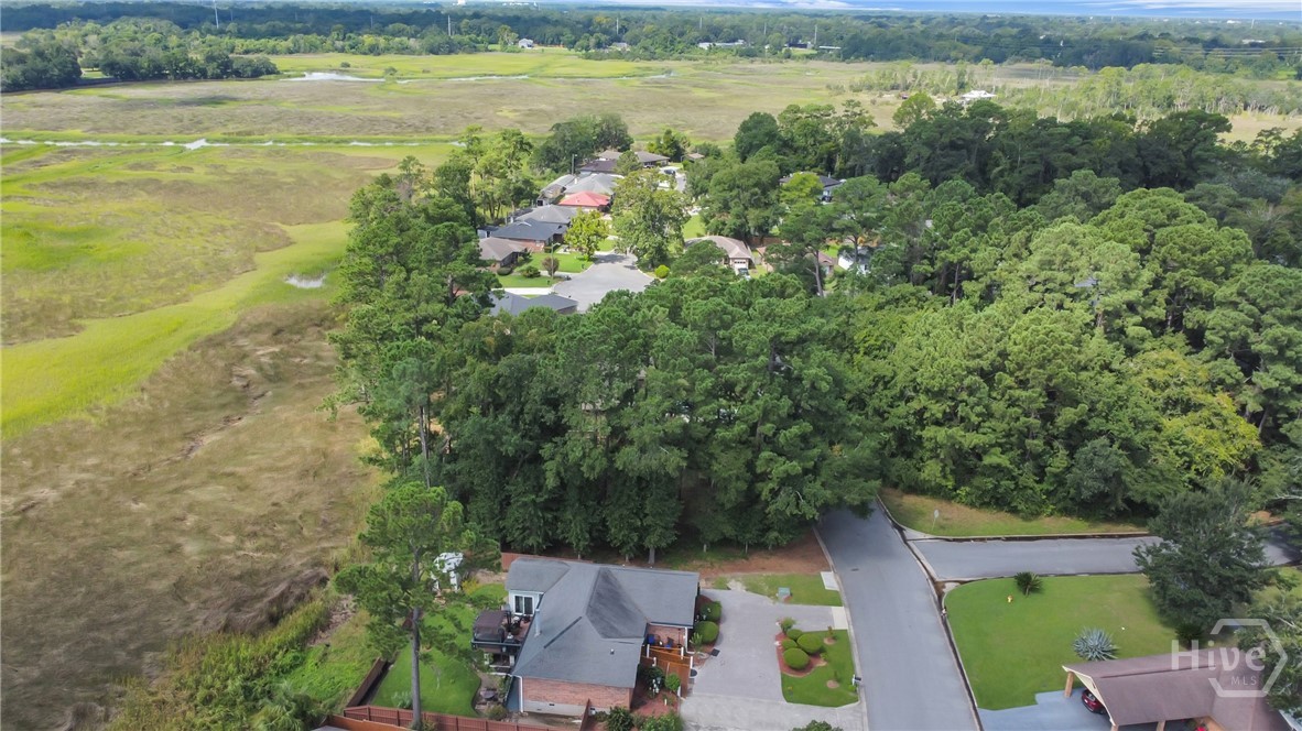 209 Runaway Point Road Savannah, GA 31404 - Photo 6 of 47