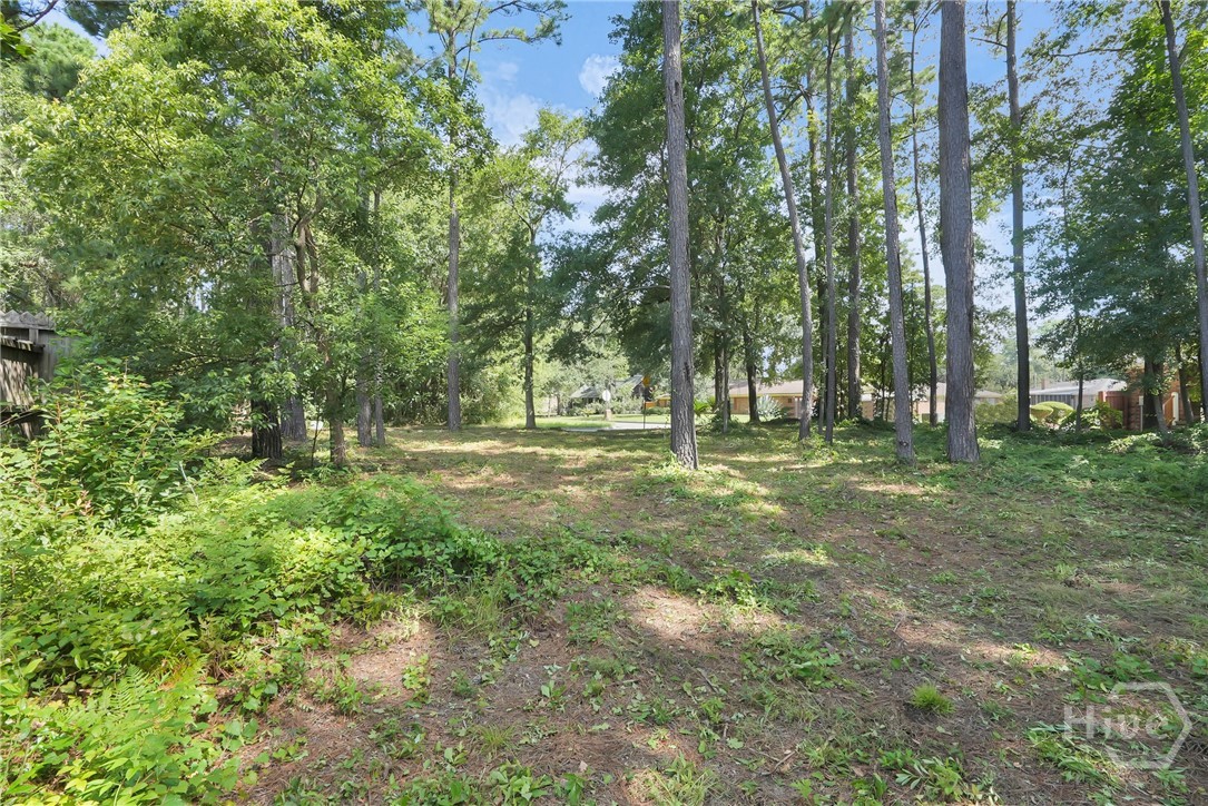 209 Runaway Point Road Savannah, GA 31404 - Photo 9 of 47