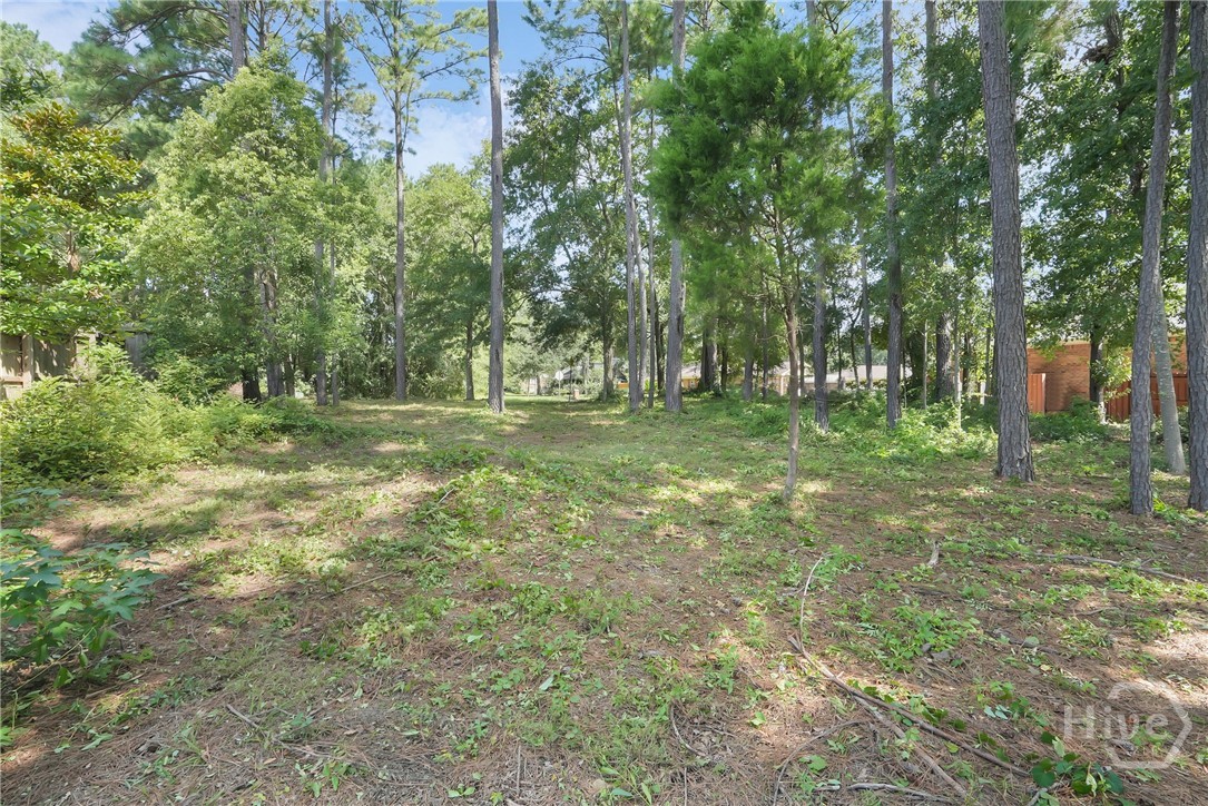 209 Runaway Point Road Savannah, GA 31404 - Photo 10 of 47